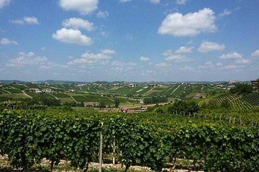 Wine ranks in Piemonte